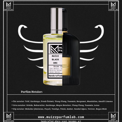 Tim Forte Dark Orch